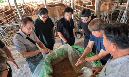 교육 및 정보 제공