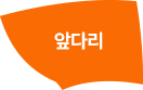 앞다리 이미지