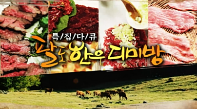 OBS 다큐멘터리-팔도한우디미방.PNG