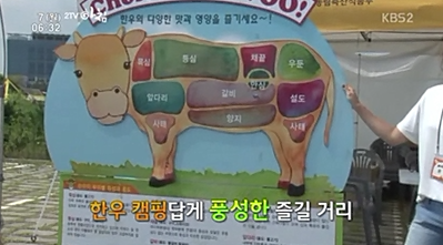 2TV아침_한우캠핑페스티벌.PNG