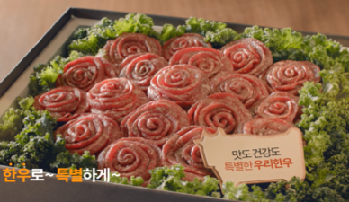 [2016년] TV광고 특별한 날(15초).png