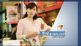 2013년도 YTN 한우 캠페인 광고.PNG