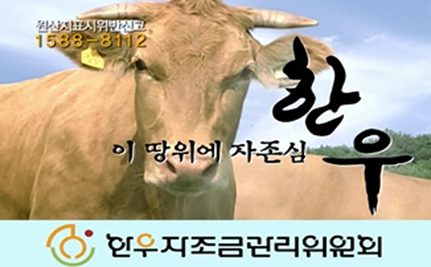 [2008] YTN4편.png
