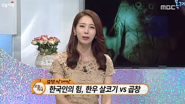 MBC 생방송 오늘 저녁(2015.6.26).PNG