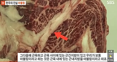 SBS 모닝와이드(2014.12.03) - 한우의 진실 마블링.PNG