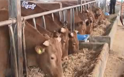 2012.10.03 KBS 6시 내고향.png