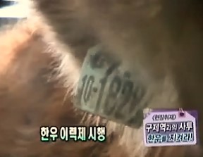 2011.02.09 MBC 생방송 오늘아침.jpg