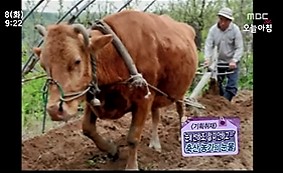 2011.02.08 MBC 생방송 오늘아침.jpg