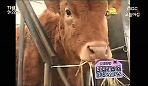 2011.02.07 SBS 생방송 오늘아침.jpg