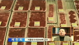 2011.01.28 SBS 뉴스와 생활경제.jpg