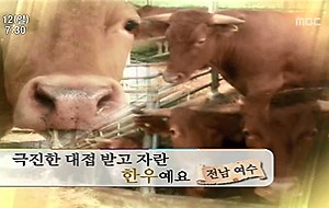 2010.09.12 MBC 고향이 좋다.jpg
