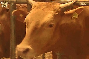 그린실버 고향이좋다.jpg