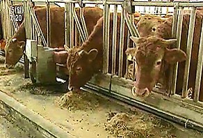 2009.11.15 MBC 그린실버 고향이 좋다.jpg