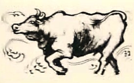 KBS 생방송 세상의 아침.jpg