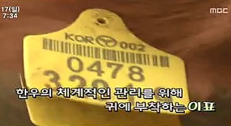 2011.04.17 MBC 고향이 좋다.jpg