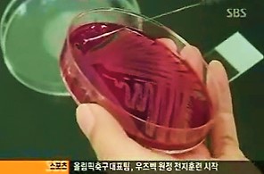 SBS 뉴스와 생활경제 한우이력제.jpg