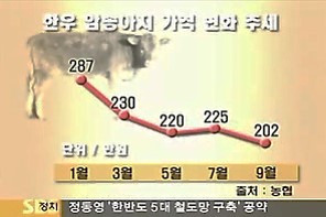 SBS 뉴스와 생활경제 6개월 키워 5만원 남어.jpg