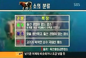 SBS 뉴스와생활경제 한우바로알기.jpg