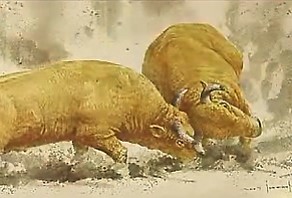 KBS 생방송 세상의 아침 한우 이색직업열전(2007.2.26).jpg