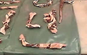 KBS 생방송 세상의 아침 한우, 뼈의 모든것-1탄(2006.12.19).jpg