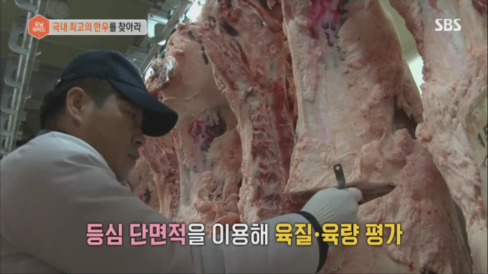 171030_SBS_시사교양_모닝와이드 0000102368ms.png