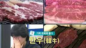 1. 무엇이든 오프닝(VCR).mp4_000059775.jpg