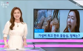 [한우]190411_MBC오늘아침(한우 가성비 맛집).jpg