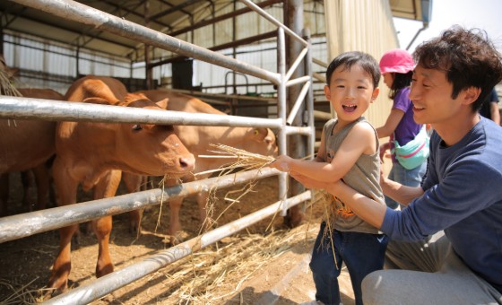 [한우자조금-사진자료] 2019 한우 캠핑 페스티벌 1 (1).jpg
