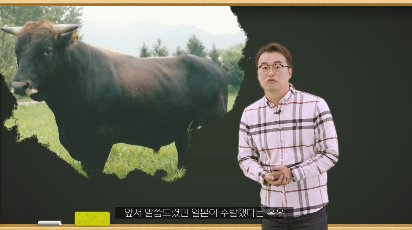 한우의 역사.png