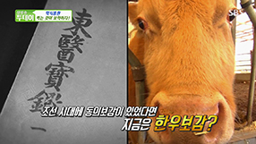 한우자조금_0518_SBS생방송투데이-우리가족건강지침서 한우보감2_썸네일.jpg
