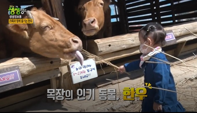 화면 캡처 2022-05-09 164510.jpg