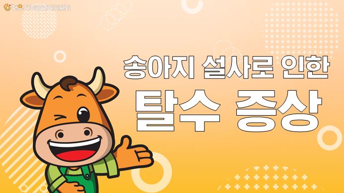 송아지 설사로 인한 탈수증상.jpg