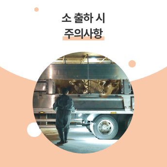 [크기변환]029_표지.png