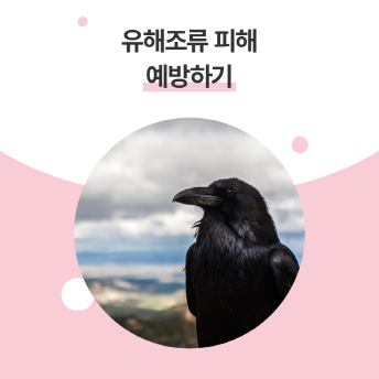 [크기변환]028_표지.png