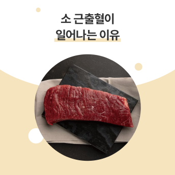 [크기변환]066_001-1.png