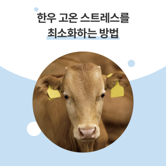 [크기변환]068_001-1.png