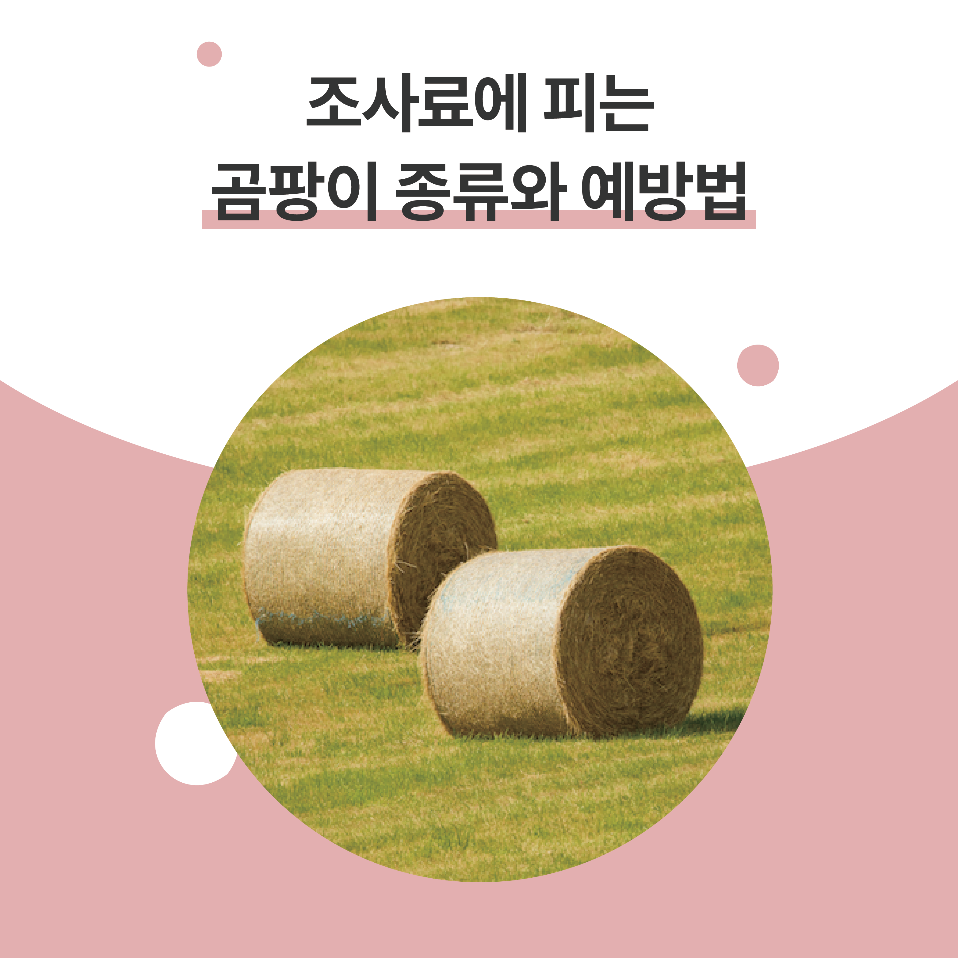 KakaoTalk_20251127_161625506.png