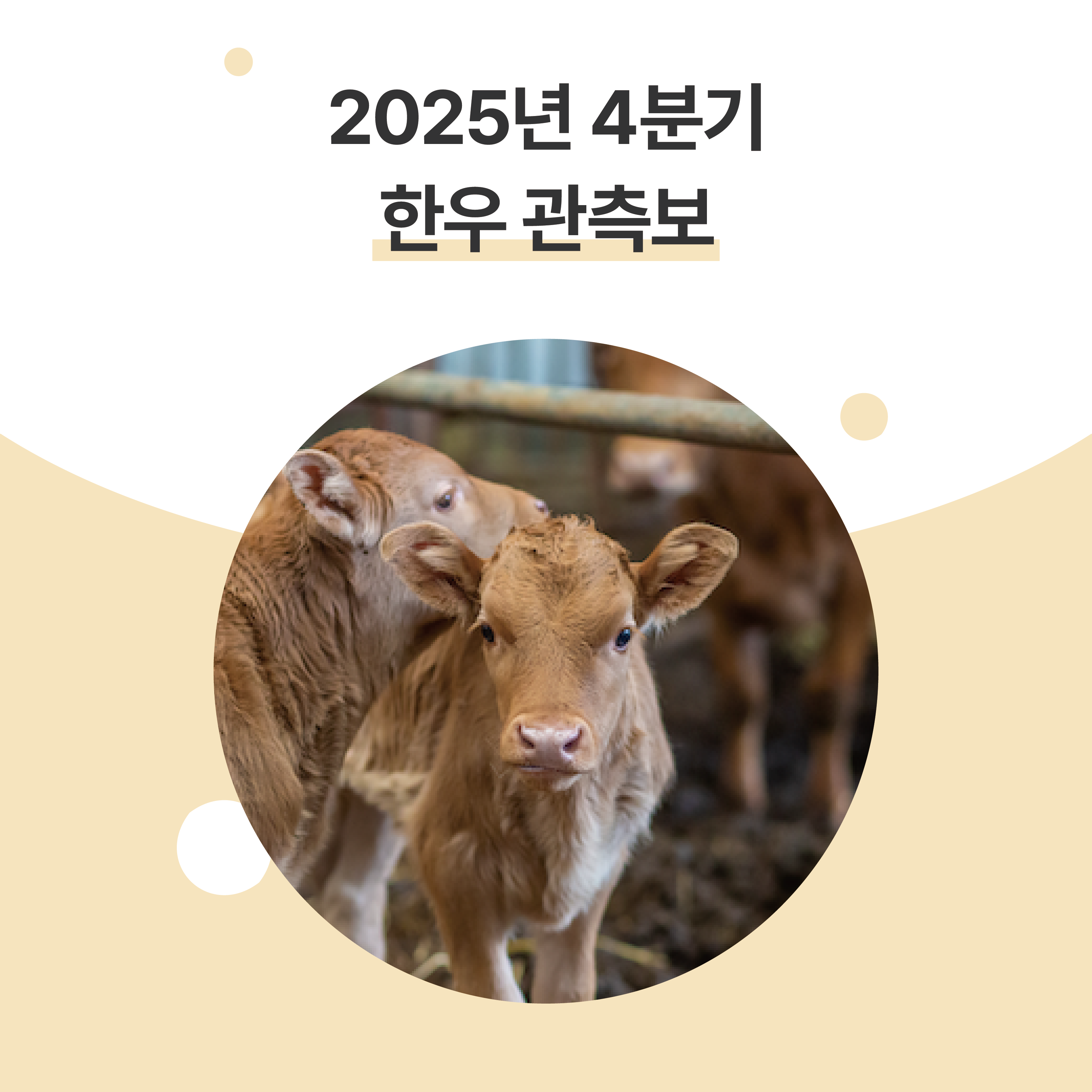 KakaoTalk_20251205_141612879_10.png