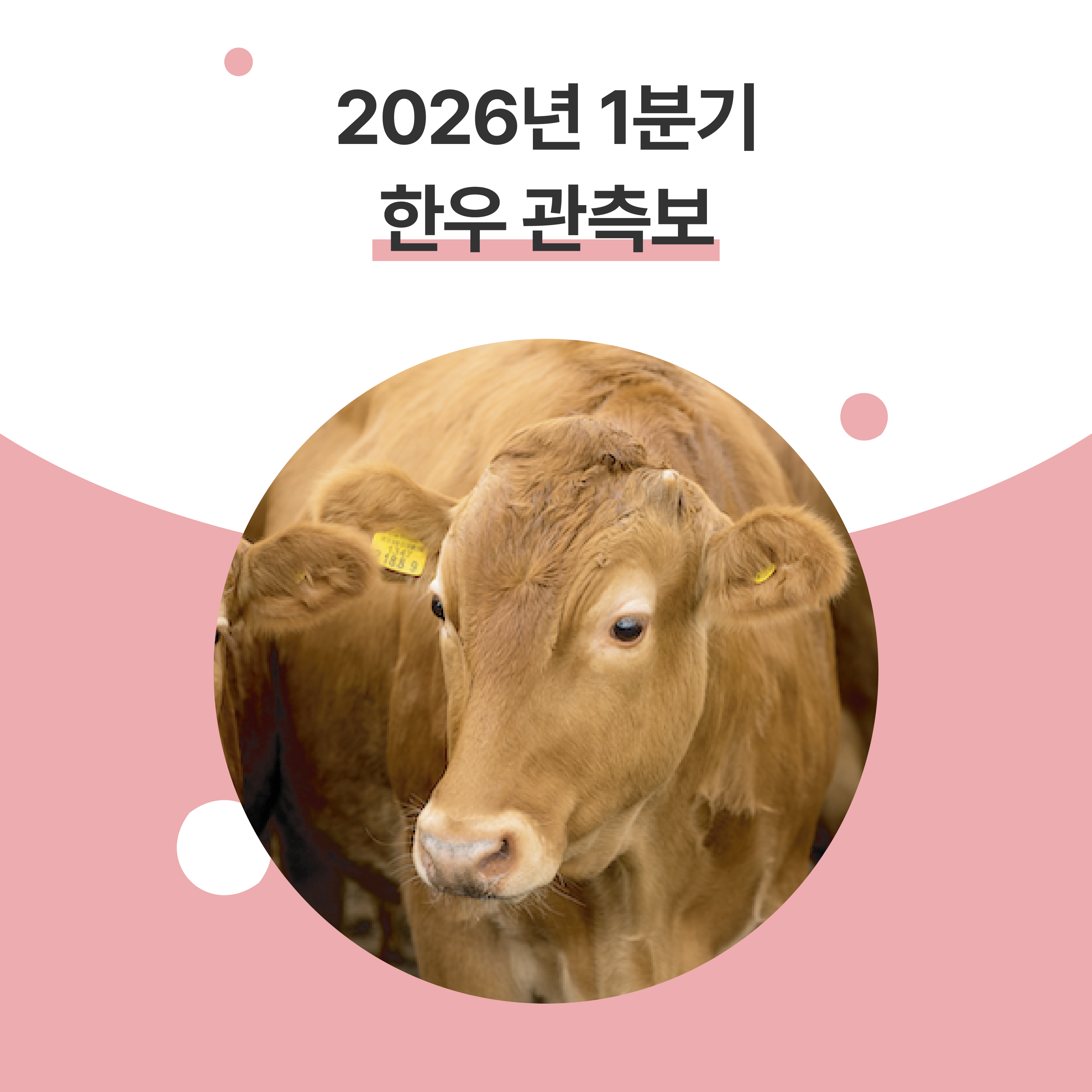 KakaoTalk_20260311_171642129_09.png