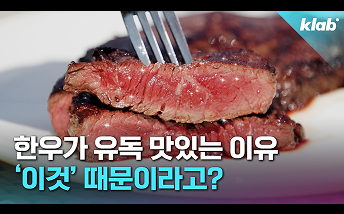 KBS유튜브-크랩-외국인까지 사로잡은 한우! 오해를 넘어 가치를 전하다.png