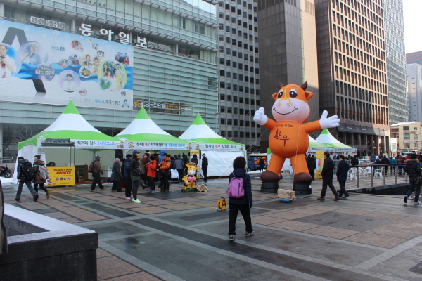 2013_02_06 market1.JPG